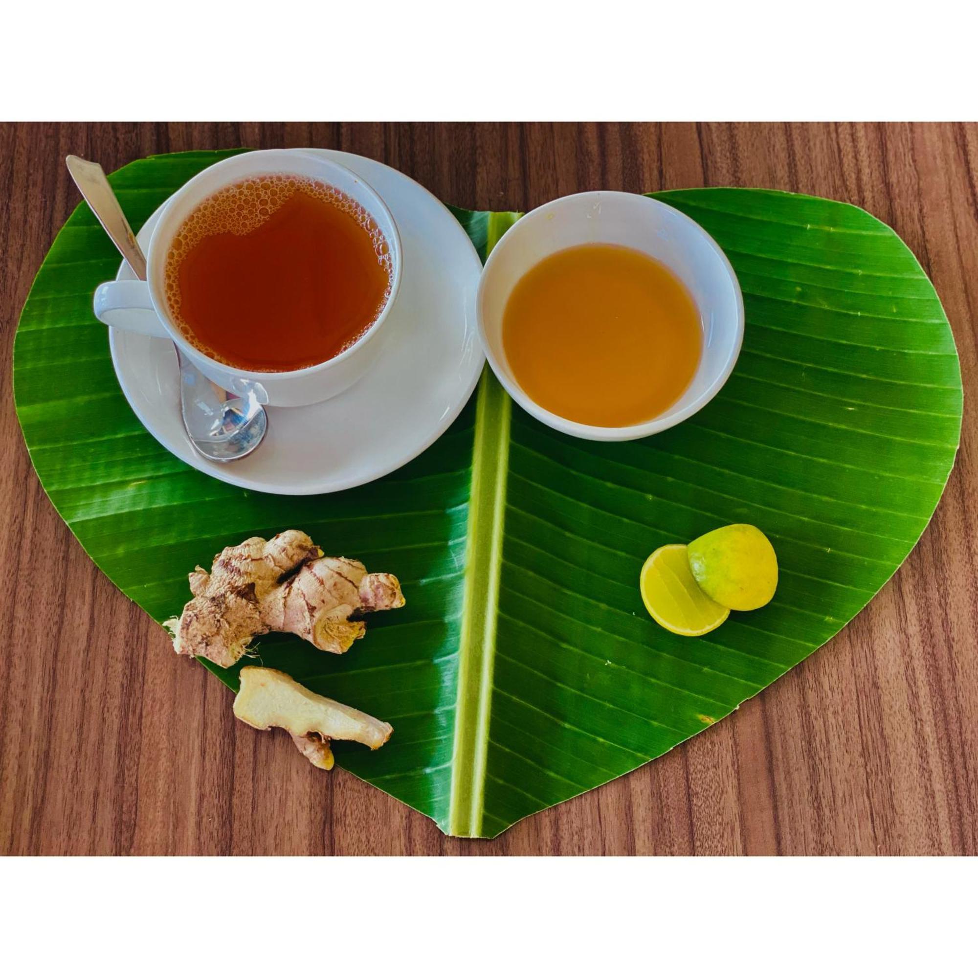 圣斯奎提吠陀度假酒店 Rishīkesh 外观 照片